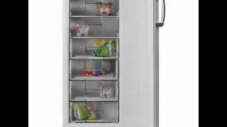Congelator Arctic AC215+, 162 l, 6 Sertare, Clasa A+, H 136 cm, Alb