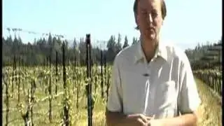 The Winemakers: V1-E1: Introducing Nick Goldschmidt