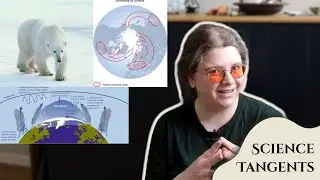 Why are Environmental Scientists so Obsessed with The Arctic? - Science Tangents