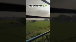 weather #kheti#weatherupdate#currentevents#currentweather#training#amritsartourism#trending