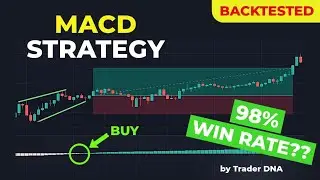 BEST MACD Trading Strategy [98% Win Rate] by Trader DNA BACKTESTED