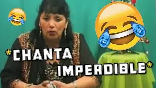 &iexcl;&iexcl;VOLVI&Oacute; ANA MAR&Iacute;A, la VIDENTE que no ve NADA!! | ZIN TV