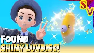 Shiny Luvdisc Found in Mass Outbreak! Live Shiny Reaction in Pokemon Violet