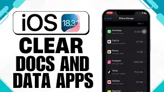 iOS 18 | How to Clear Documents and Data of Apps on iPhone