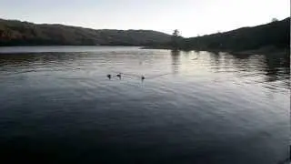 once upon a time there waz a Master Wiiyum and an enchanted Lake!!