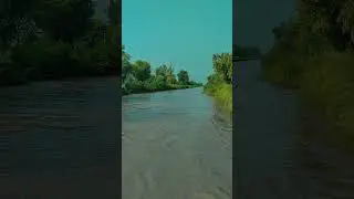 view of gojra canal/gojra ki nehar ka manzar#foryou #fyp #viral #viralvideo #shorts #love #tiktok