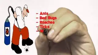 Toro Pest Management: Pest Control & Termite Control Services in Miami, Florida