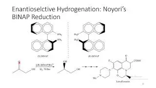Application of Organometallic Compounds in Homogeneous Catalysis