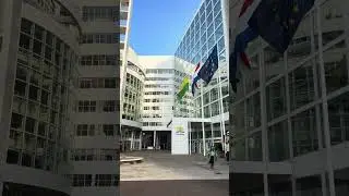 Дешево и сердито: бюджетное путешествие в Гаагу | экономным туристам