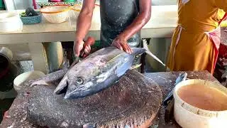 PROFESSIONAL FASTEST WORKERS || BIG TUNA FISH CUTTING SKILLS || PERFECT CUTTING FISH