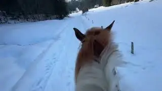 Wintertraum