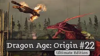 Dragon Age: Origin - Ultimate Edition #22 - Бабка-дракон