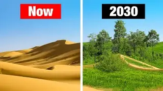 Крупнейший живой мегапроект в мире