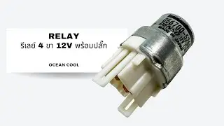รีเลย์กลม 4 ขา 12 โวลต์ พร้อมปลั๊ก เดนโซ่แท้ RLY0004 DENSO 056700-5260 RELAY 12V 22A รีเลย์