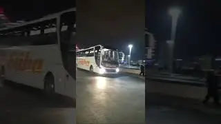 Aşti'de bir aslan #bus #otobus #travel #coach #man #lionscoach