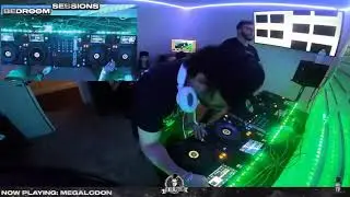 Megalodon & Whales - ID