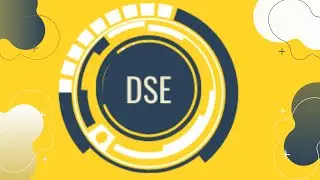 DSE ENTREPRENEUR FEATURE PART 1  ANT WISDOM