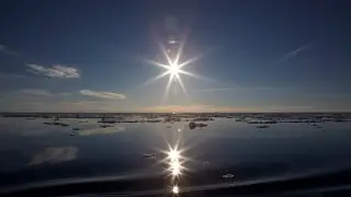 Antarctica. Life under the ice. Антарктида. Жизнь под толщей льда.