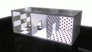 Conditioned Place Preference