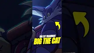 QUI est BIG THE CAT !! Explication des ORIGINES de BIG THE CAT ! #bigthecat #sonic #lore
