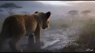 الاسد الصغير الضائع😨 The Lost Little Lion #youtubeshorts #cartoon #animation #foryou #funny