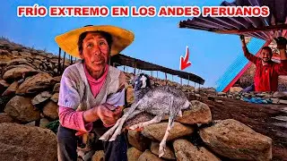 ¡Condición EXTREMA!.  CABRA no soportó EL mal clima y FRÍO. Doña Yolanda la MUJER GUERRERA