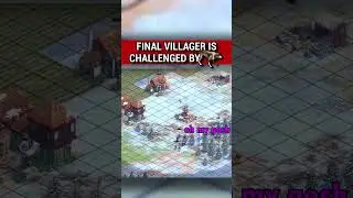 Wolves vs. the FINAL Villagers - [AoE2/Age of Empires 2]