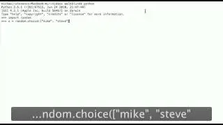 Python - Random Choice