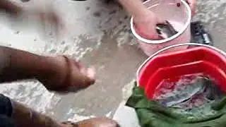 EMWOT- Amen Ankh Urban Farm- Teach a Man to Fish