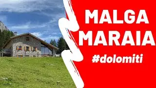 Malga Maraia da Palus San Marco #dolomiti #cadore