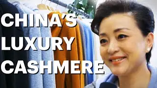 Yang Lan's plan for bringing Chinese cashmere to the U.S.