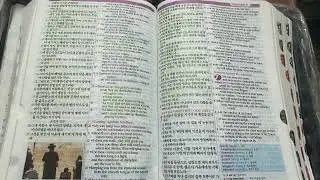 2026.1.24 The Bible 성경말씀 Proverbs 6 잠언 6