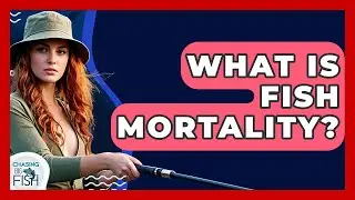 What Is Fish Mortality? - Chasing Big Fish