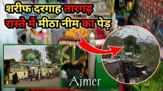 मीठे नीम वाले बाबा की दरगाह शरीफ अजमेर दुनिया का एक मात्र पेड़ पत्ते खाने से हर दुआ कबुल होती है