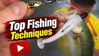 🎣 Top Fishing Techniques That Actually Catch Fish!