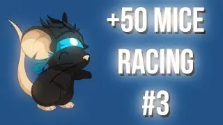 +50 Mice Racing Gameplay #3 - Transformice