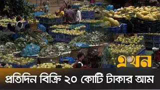 বেচাকেনা ভালো হলেও লাভের মুখ দেখছেন না কৃষকরা! | Mango Market | Mango Price | Chapainawabganj News