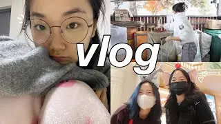 vida na coreia | vlog: lotte world, life updates, tratamento no cabelo, organizando o quarto, etc!