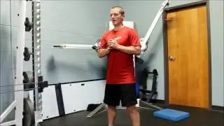 Precision Fitness Standing Core Press