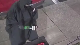 Oregon man linked to Tesla dealership attacks could get up to 20 years in prison, U.S. AG says