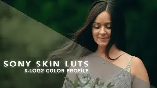 Cinematic LUTs For FREE for Adobe Premiere Pro CC PRO LEVEL || Travel Luts || Perfect Shutter Films