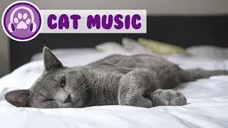 EXTRA-RELAXING Cat Music - 2 Hours of Soothing Therapy Songs!