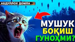 АБДУЛЛОХ ДОМЛА МУШУК БОҚИШ ГУНОҲМИ? ФАРИШТА КИРМАЙДИМИ?