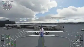 Flight Pilot001 Microsoft flight simulator flight and talk.