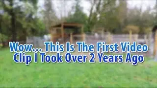 The First Video Clip I Took Here... (How To Fix A Muddy Paddock!)