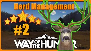 Herd Management for 5-Star Bucks! | Way of the Hunter Series - 1JMGames