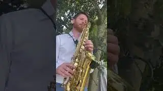 James Sax | Drinks Reception Showreel