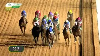 Forever Young (Jpn) ( Real Steel *Jpn) Saudi Cup G1 $20M 2026