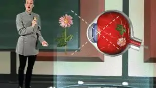 Vídeo: la visión