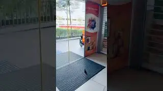 A clever bird activates the motion sensor to open the sliding door!